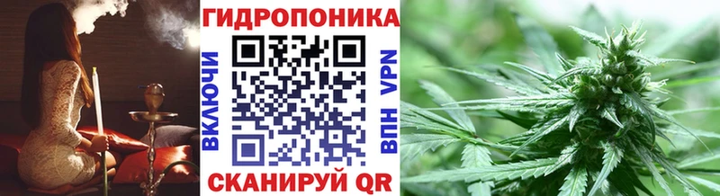 Бошки марихуана OG Kush  Анжеро-Судженск 